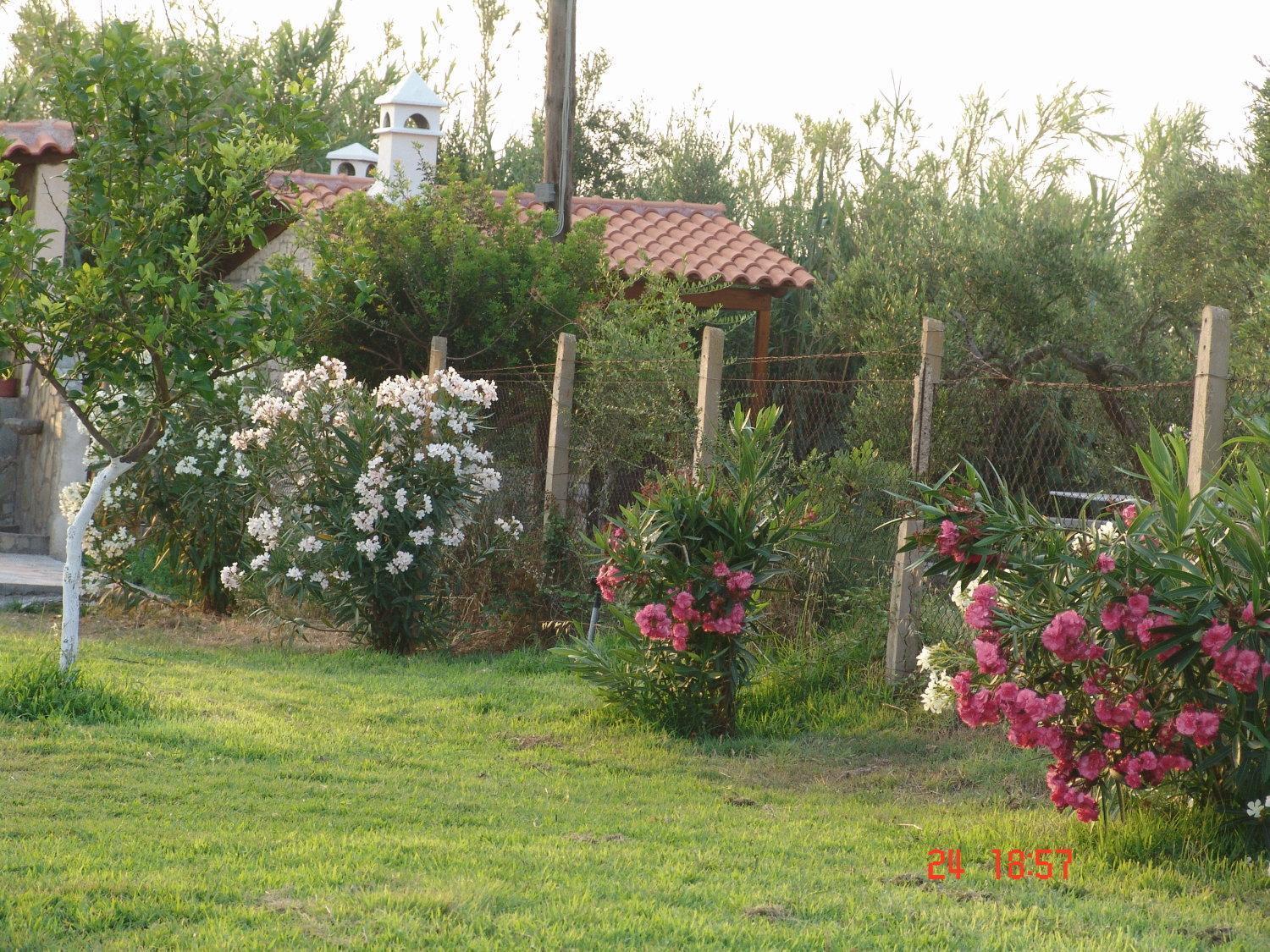 Terpsichore Apartments Kyparissia Eksteriør billede